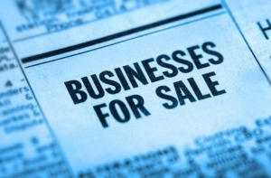 Insider Tips for Evaluating a Business for Sale Opportunity